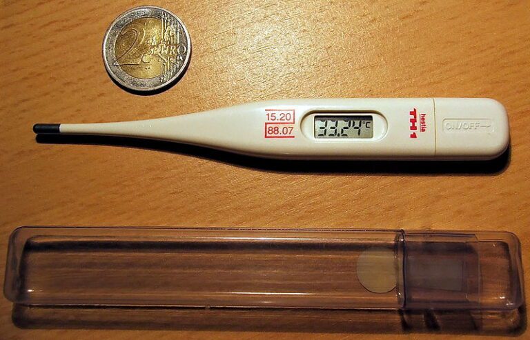 800px Digitales Fieberthermometer 2