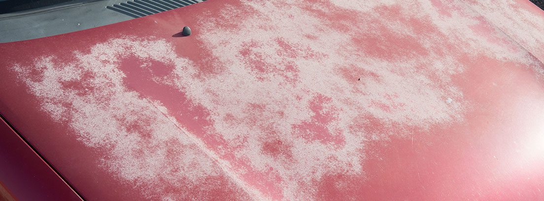 Auto brillante sin rayones en el sol