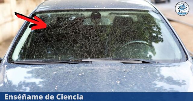Manchas difíciles en vidrios de automóvil