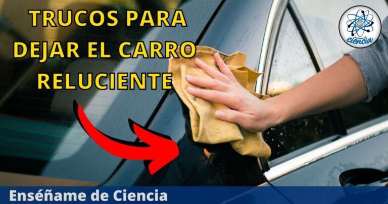 Copia de EdCiencia Destacada 7 1