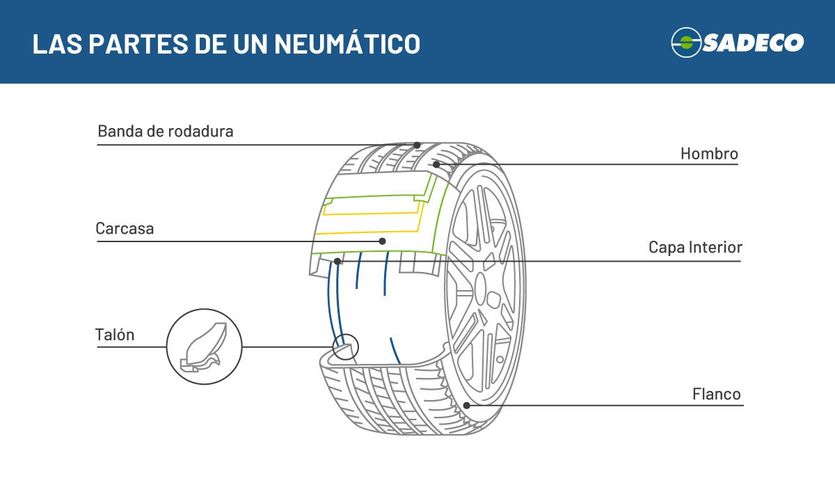 Estructura interna de una llanta de carro