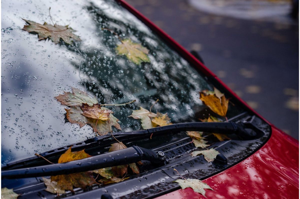 Limpiaparabrisas en buen estado bajo la lluvia