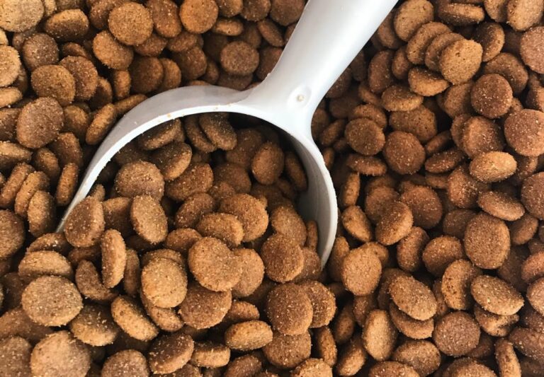 alimento mascotas