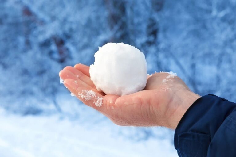 bolas nieve