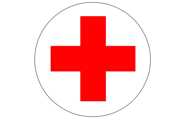 Cómo inscribirse en los cursos en línea de la Cruz Roja Mexicana 1 cruz roja