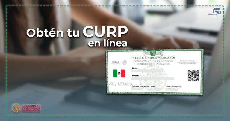 curp linea
