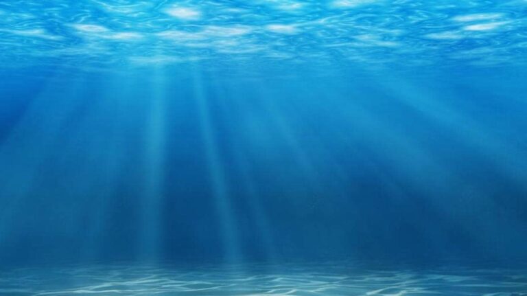 fondo mar