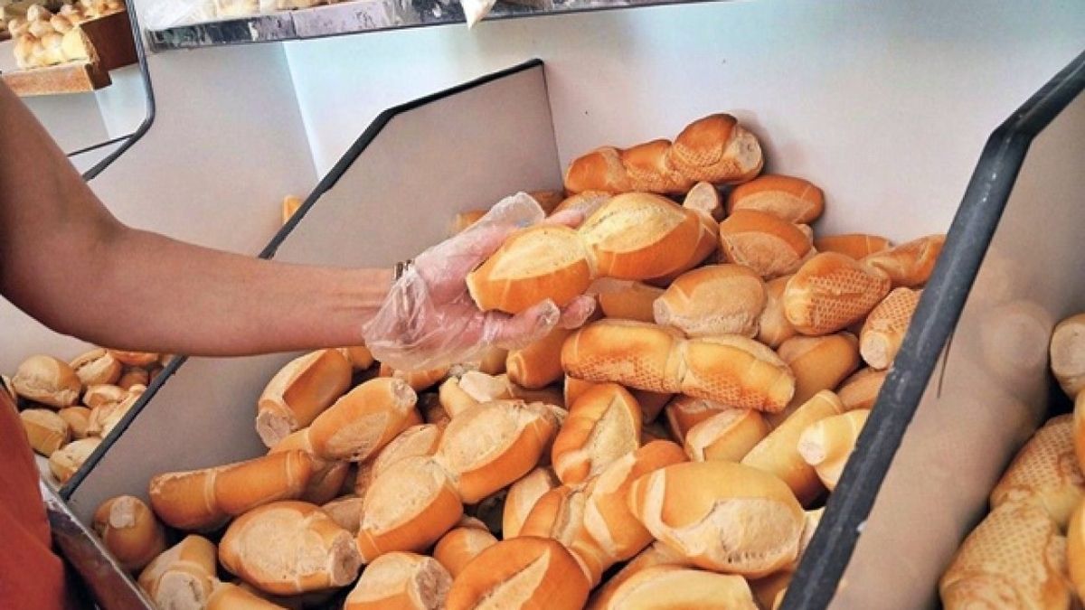 Cuantos Kilos De Pan Vende Una Panaderia Por Dia