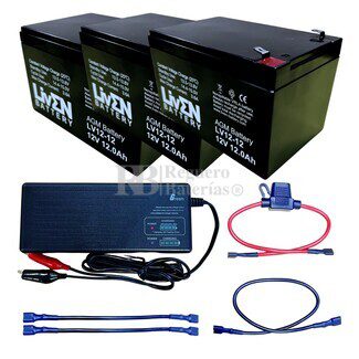 Batería de 12V siendo cargada con amperios