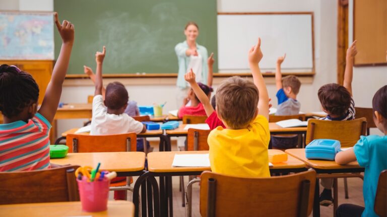 Cuántos niveles de estudio existen en el sistema educativo 1 la educacion