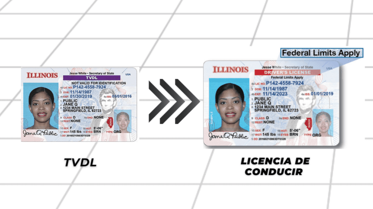 licencia conducir 7