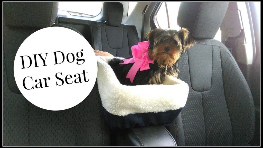 mascota coche 1