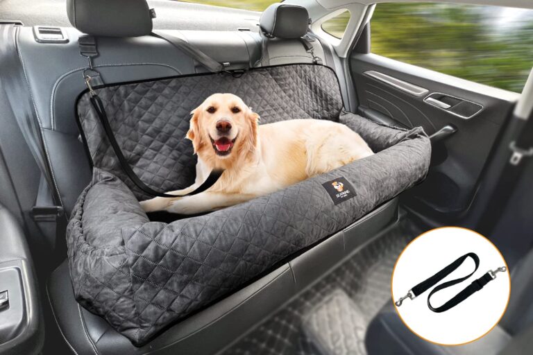 mascota coche