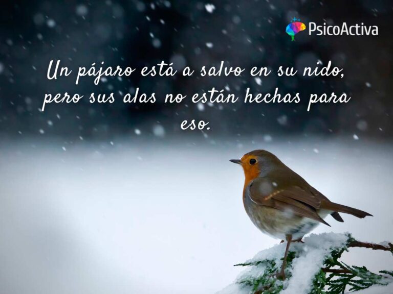 Cuáles son las mejores canciones pop con mensajes positivos 1 mensajes positivos