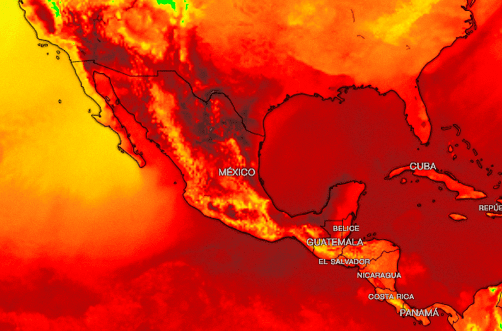 ola calor