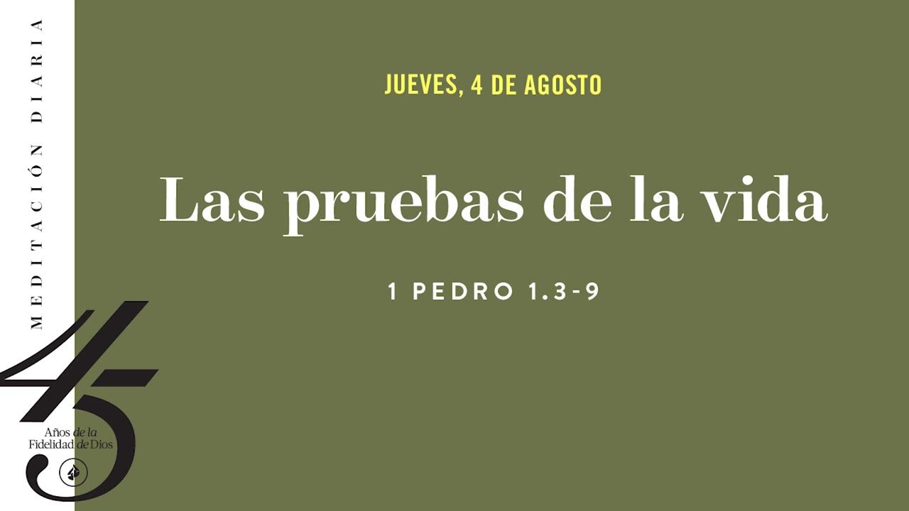 Qué Significan Las Frases "la Vida Te Pone Pruebas"