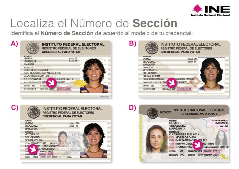 seccion electoral
