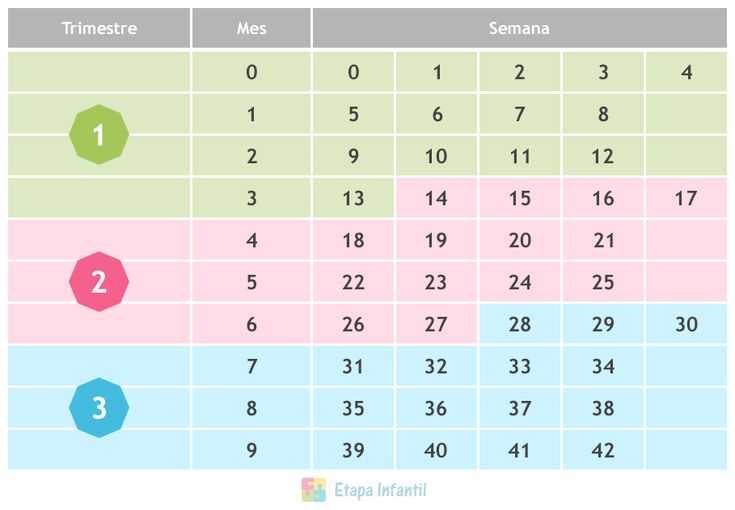 semanas meses