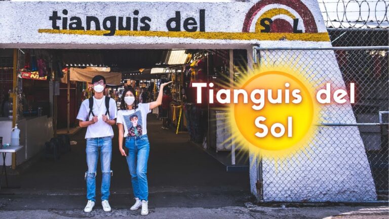 Qué días se pone el Tianguis del Sol en Guadalajara 1 tianguis sol