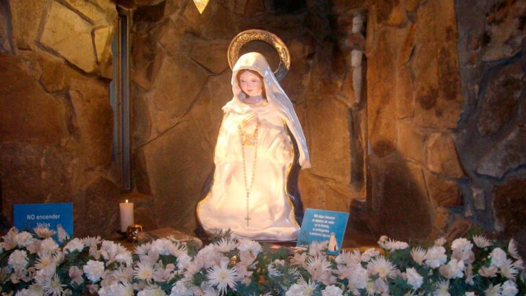 Quién es la Virgen de Salta y qué relación tiene con María Livia 1 virgen salta